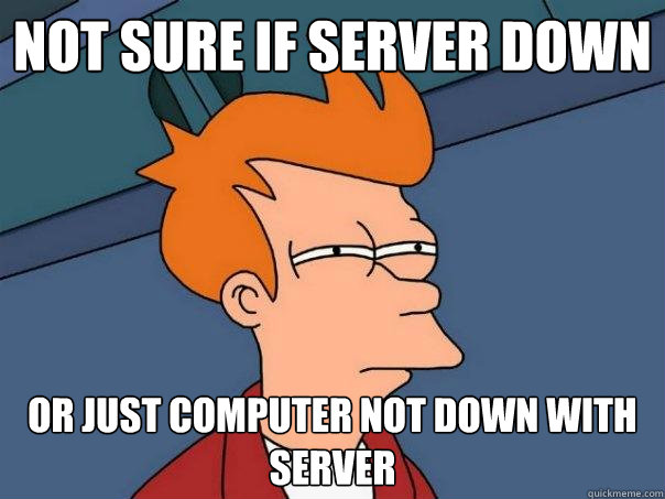 not sure if server down or just computer not down with server - not sure if server down or just computer not down with server  Futurama Fry