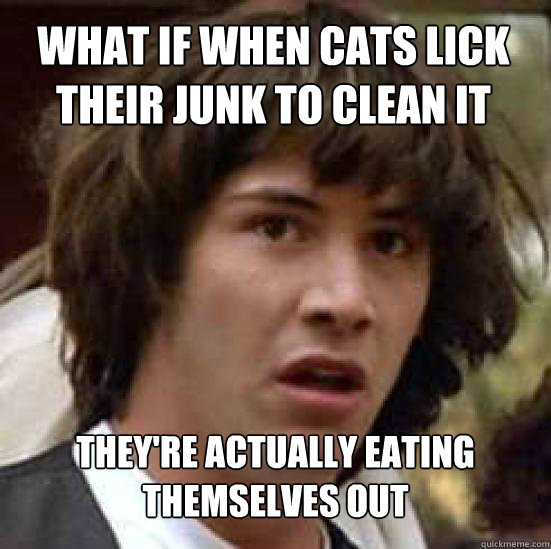 WHAT IF WHEN CATS LICK THEIR JUNK TO CLEAN IT THEY'RE ACTUALLY EATING THEMSELVES OUT - WHAT IF WHEN CATS LICK THEIR JUNK TO CLEAN IT THEY'RE ACTUALLY EATING THEMSELVES OUT  conspiracy keanu