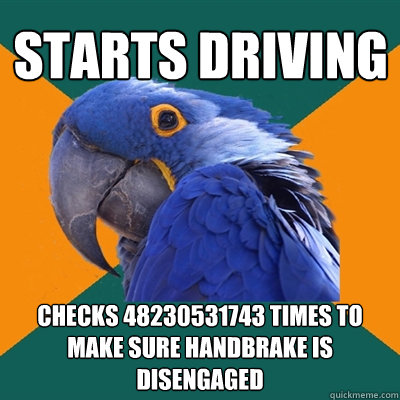 starts driving checks 48230531743 times to make sure handbrake is disengaged  Paranoid Parrot