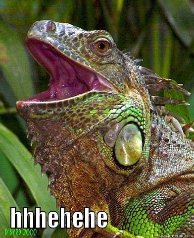  HHHEHEHE                   Misc