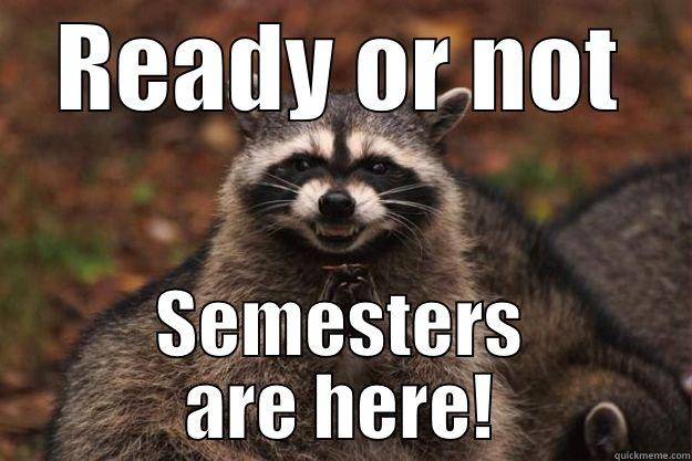 READY OR NOT SEMESTERS ARE HERE! Evil Plotting Raccoon