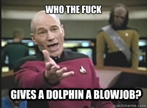 who the fuck gives a dolphin a blowjob?  Annoyed Picard