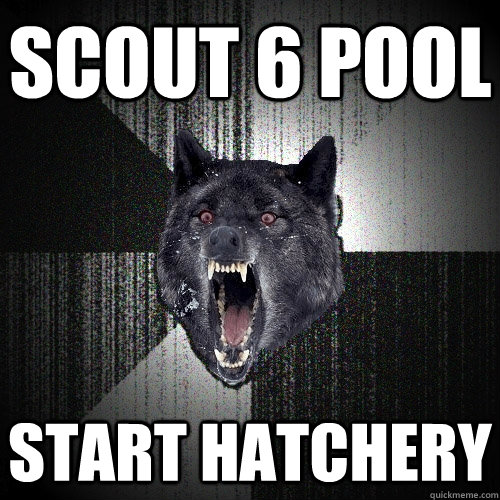 SCOUT 6 POOL START HATCHERY  Insanity Wolf