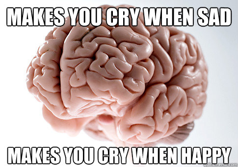 Makes you cry when sad Makes you cry when happy  Scumbag Brain