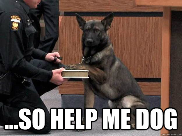  ...so help me dog -  ...so help me dog  so help me dog