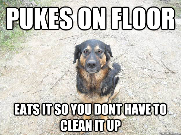pukes on floor eats it so you dont have to clean it up  Good Guy Dog