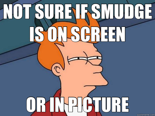 NOT SURE IF SMUDGE IS ON SCREEN OR IN PICTURE  Futurama Fry