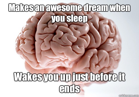 Makes an awesome dream when you sleep Wakes you up just before it ends  Scumbag Brain