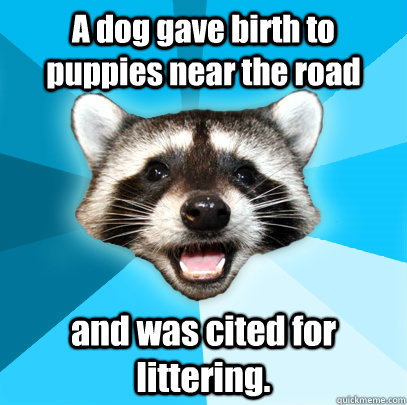 A dog gave birth to puppies near the road and was cited for littering.  Lame Pun Coon