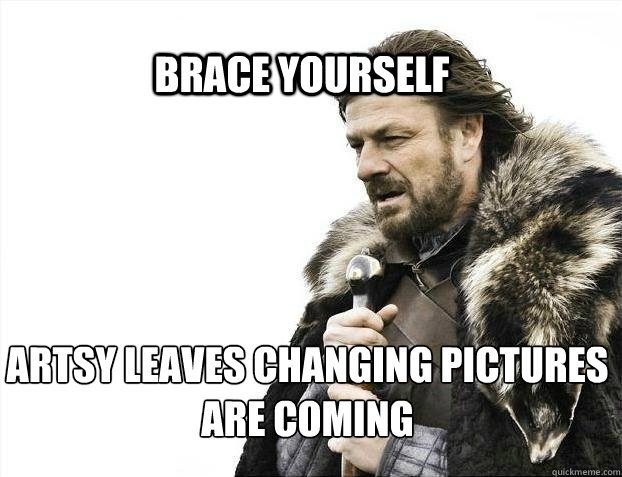 BRACE YOURSELf Artsy leaves changing pictures are coming  BRACE YOURSELF SOLO QUEUE