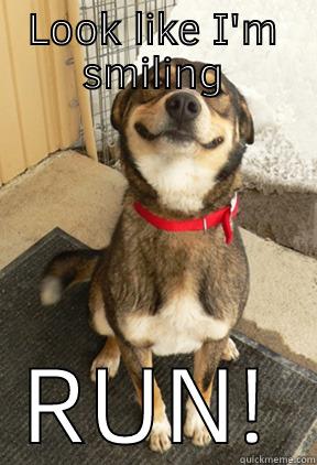 LOOK LIKE I'M SMILING RUN! Good Dog Greg