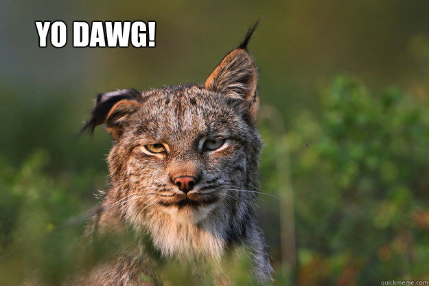 Yo Dawg! - Misc - quickmeme