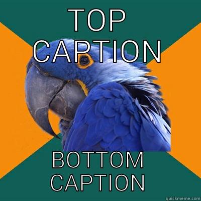 Give it a catchy title. Be creative! - TOP CAPTION BOTTOM CAPTION Paranoid Parrot