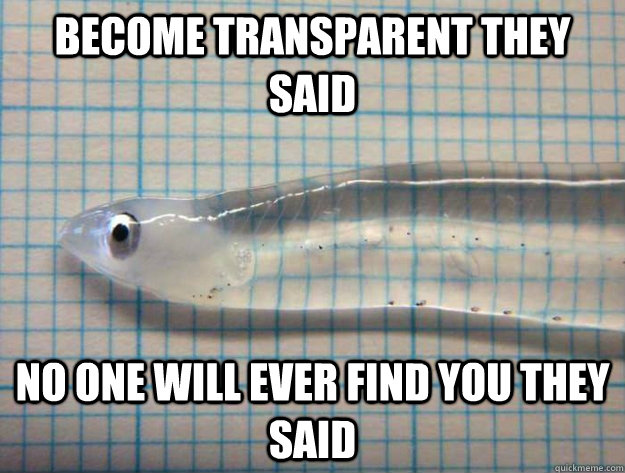 become transparent they said no one will ever find you they said - become transparent they said no one will ever find you they said  transparent fish