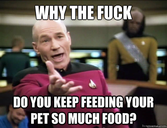 why the fuck Do you keep feeding your pet so much food?  Annoyed Picard HD
