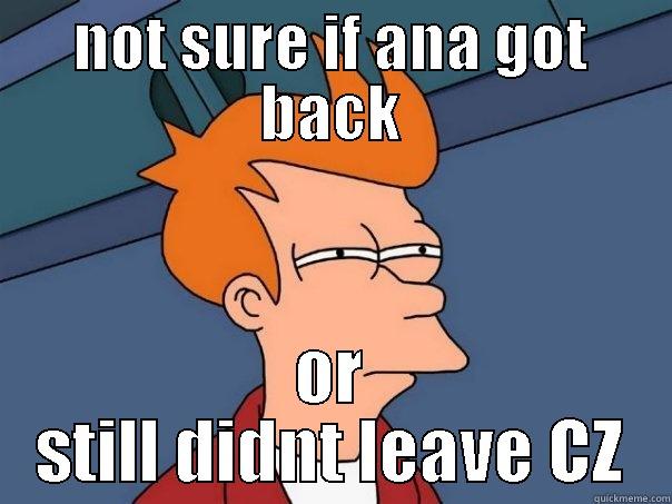 NOT SURE IF ANA GOT BACK OR STILL DIDNT LEAVE CZ Futurama Fry