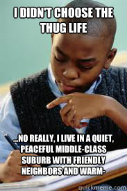 I didn't choose the Thug Life ...No really, I live in a quiet, peaceful middle-class suburb with friendly neighbors and warm-hearted friends  Succesful Black Mans son