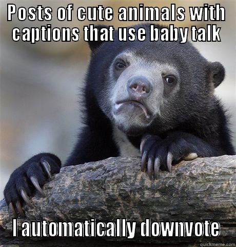 POSTS OF CUTE ANIMALS WITH CAPTIONS THAT USE BABY TALK I AUTOMATICALLY DOWNVOTE Confession Bear