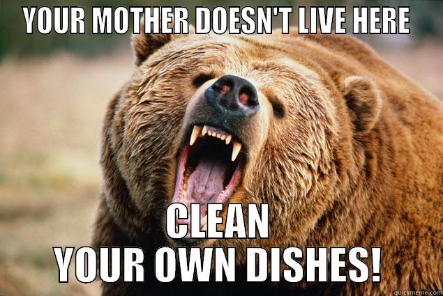 YOUR MOTHER DOESN'T LIVE HERE  CLEAN YOUR OWN DISHES! Misc