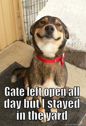  GATE LEFT OPEN ALL DAY BUT I STAYED IN THE YARD Good Dog Greg