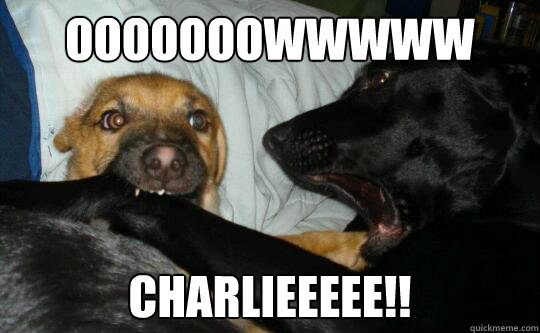 ooooooowwwww charlieeeee!! - ooooooowwwww charlieeeee!!  Charlie Bit Me