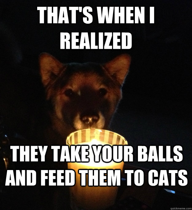 THAT'S WHEN I REALIZED they take your balls and feed them to cats - THAT'S WHEN I REALIZED they take your balls and feed them to cats  Scary Story Dog