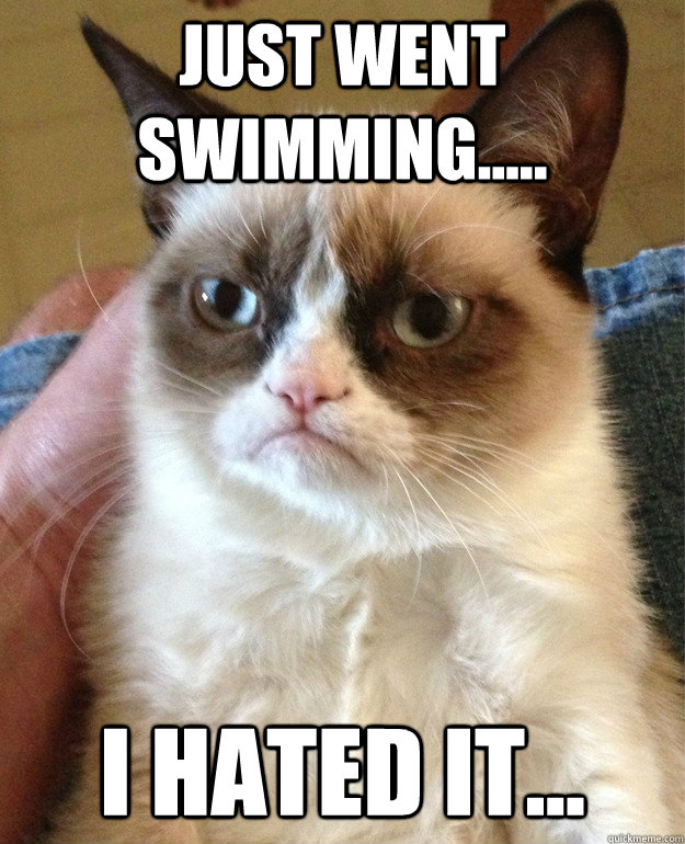 Just went swimming..... I hated it... - Just went swimming..... I hated it...  Grumpy Cat