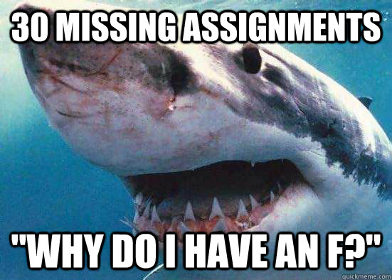 30 Missing Assignments 