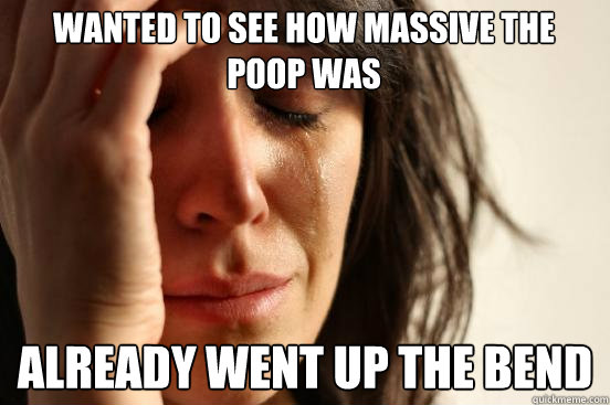 Wanted to see how massive the poop was already went up the bend  First World Problems