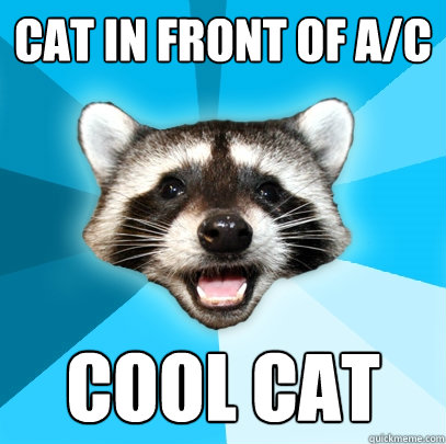 CAT IN FRONT OF A/C COOL CAT  Lame Pun Coon