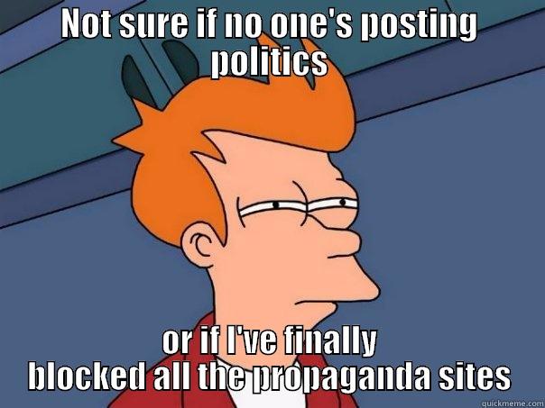NOT SURE IF NO ONE'S POSTING POLITICS OR IF I'VE FINALLY BLOCKED ALL THE PROPAGANDA SITES Futurama Fry