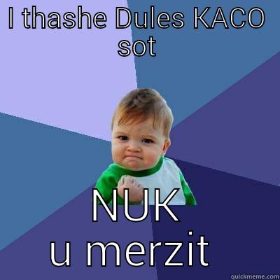 I THASHE DULES KACO SOT NUK U MERZIT  Success Kid