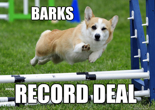 barks Record deal  Ridiculously Photogenic Dog