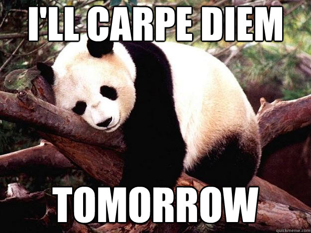 I'll carpe diem tomorrow  Procrastination Panda