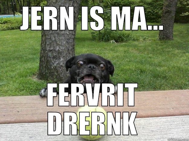 JERN IS MA... FERVRIT DRERNK Berks Dog