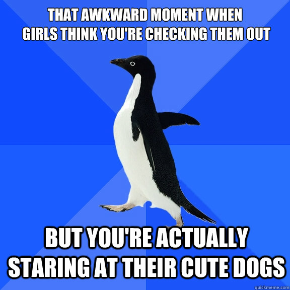 That awkward moment when
 girls think you're checking them out But you're actually staring at their cute dogs  Socially Awkward Penguin