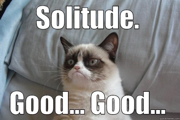 SOLITUDE. GOOD... GOOD... Grumpy Cat