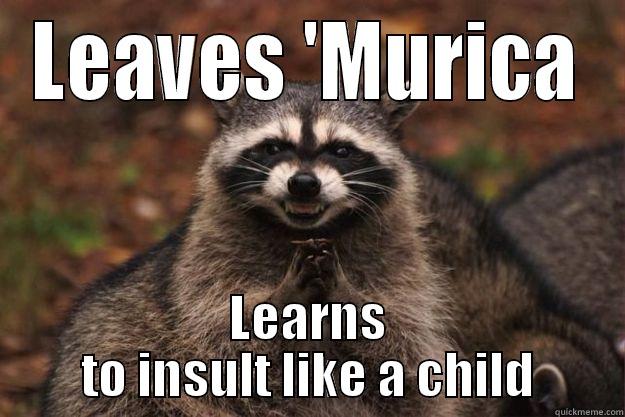 Baxter goes abroad - LEAVES 'MURICA LEARNS TO INSULT LIKE A CHILD Evil Plotting Raccoon