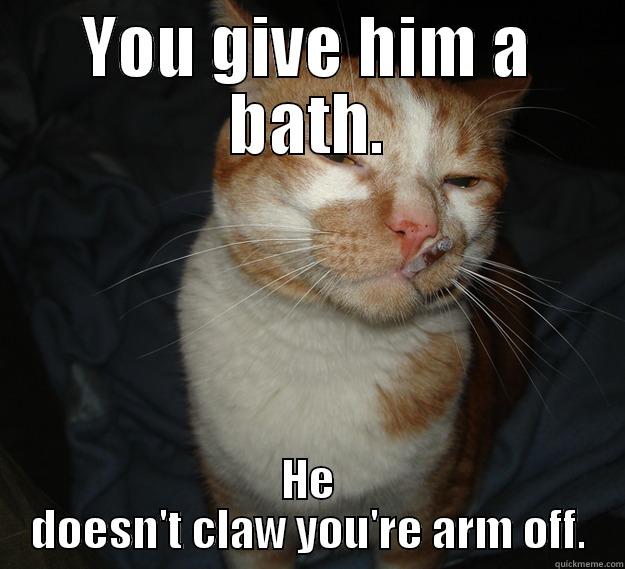 YOU GIVE HIM A BATH. HE DOESN'T CLAW YOU'RE ARM OFF. Cool Cat Craig