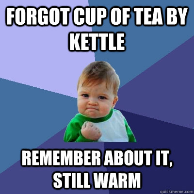 forgot cup of tea by kettle remember about it, still warm  Success Kid