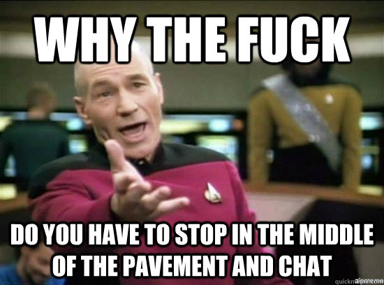 Why the fuck do you have to stop in the middle of the pavement and chat  Annoyed Picard HD