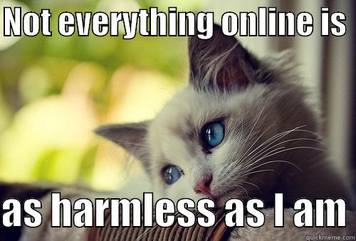 cyber safety cat - NOT EVERYTHING ONLINE IS   AS HARMLESS AS I AM First World Problems Cat