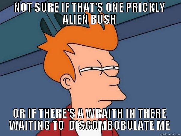 NOT SURE IF THAT'S ONE PRICKLY ALIEN BUSH OR IF THERE'S A WRAITH IN THERE WAITING TO  DISCOMBOBULATE ME Futurama Fry