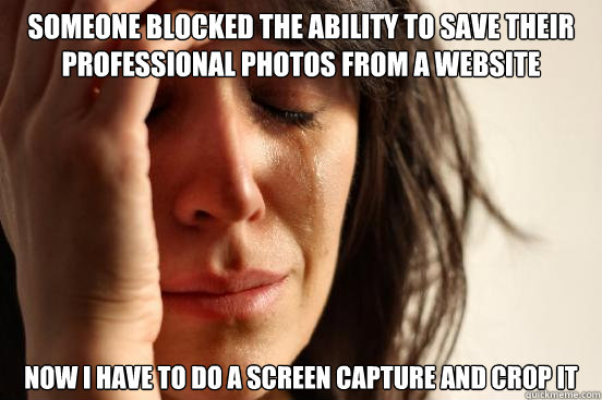 someone blocked the ability to save their professional photos from a website now i have to do a screen capture and crop it  First World Problems