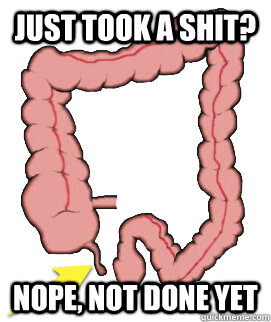 just took a shit? Nope, not done yet  Scumbag Bowels