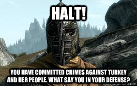 Halt! You have committed crimes against Turkey and her people. What say you in your defense? - Halt! You have committed crimes against Turkey and her people. What say you in your defense?  geziparkskyrim
