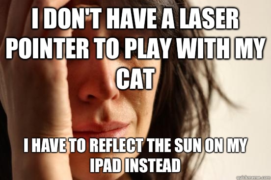 I don't have a laser pointer to play with my cat I have to reflect the sun on my iPad instead  First World Problems