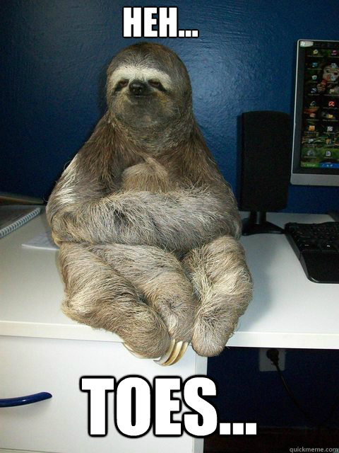 Heh... Toes... - Heh... Toes...  3 Toed Sloth