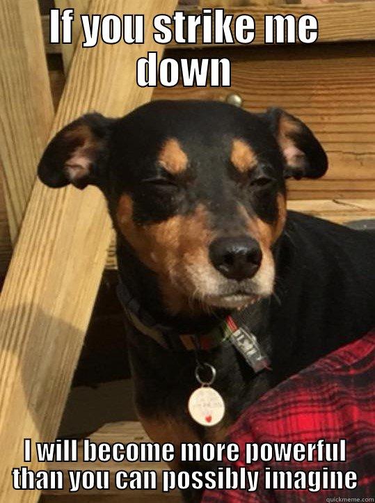 IF YOU STRIKE ME DOWN I WILL BECOME MORE POWERFUL THAN YOU CAN POSSIBLY IMAGINE Misc