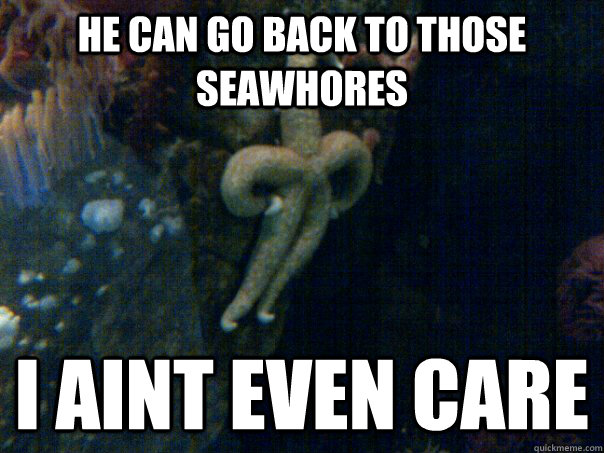 HE CAN GO BACK TO THOSE SEAWHORES I AINT EVEN CARE - HE CAN GO BACK TO THOSE SEAWHORES I AINT EVEN CARE  Sassy Starfish